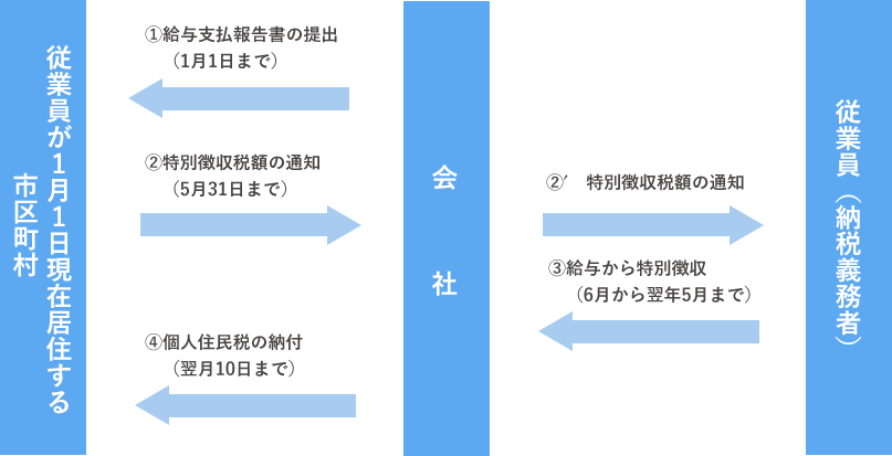 税額決定～特別徴収～納付の流れ